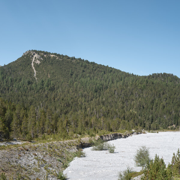 Ova dal Fuorn: Flussbett mit bewaldetem Hügel im Schweizer Nationalpark.