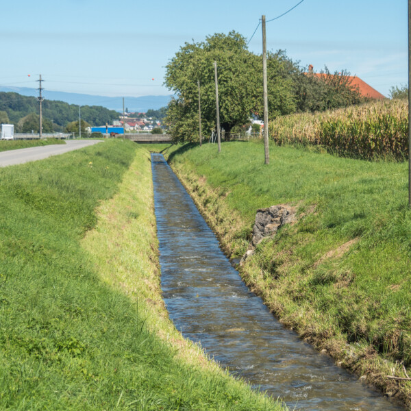 Kanalisiertes Gewässer in Petite Glâne, flankiert von Grünflächen und einem Feld.