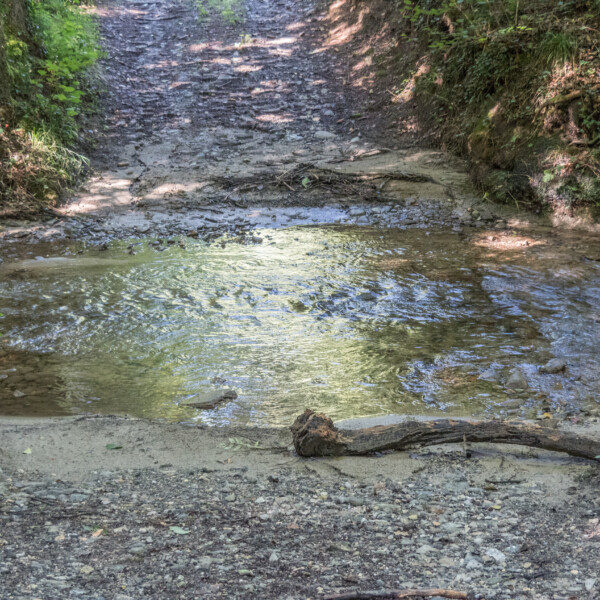 Bachlauf auf dem Wanderweg Petite Glâne. Wasser fließt über Steine und Sand.