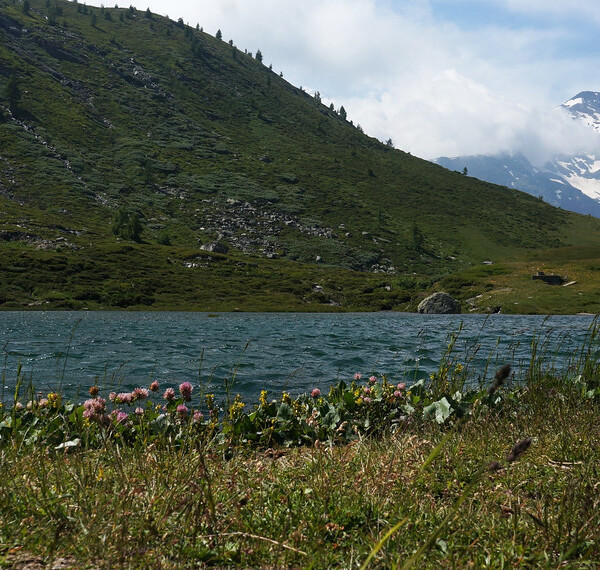 Rotelsee: Bergsee mit grünen Hängen und schneebedeckten Gipfeln im Hintergrund.