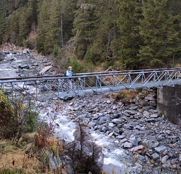 Metallbrücke über den Rovana Fluss in einer Waldlandschaft.