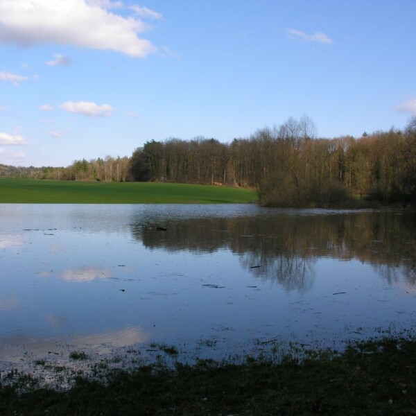 Rudolfersee-Landschaft mit Wasser, Bäumen und blauem Himmel. Ruhige Natur am See.