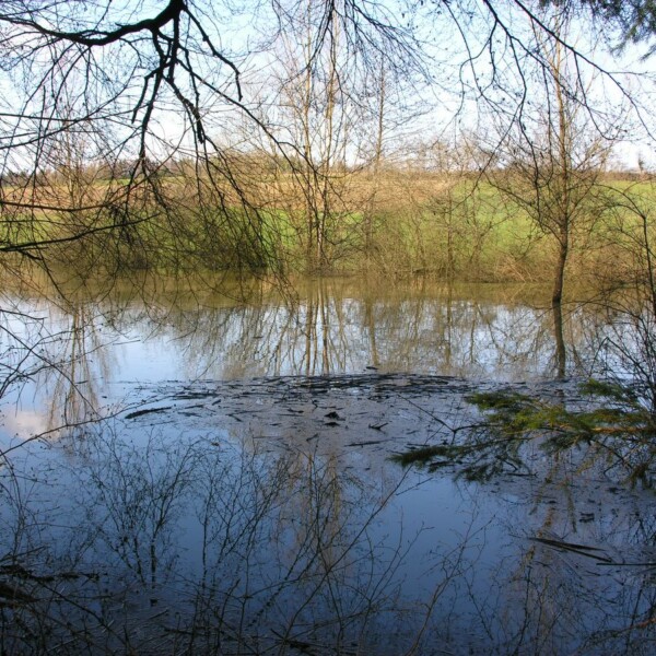 Rudolfersee: Ruhige Wasseroberfläche mit Spiegelungen von Bäumen und Ufervegetation.