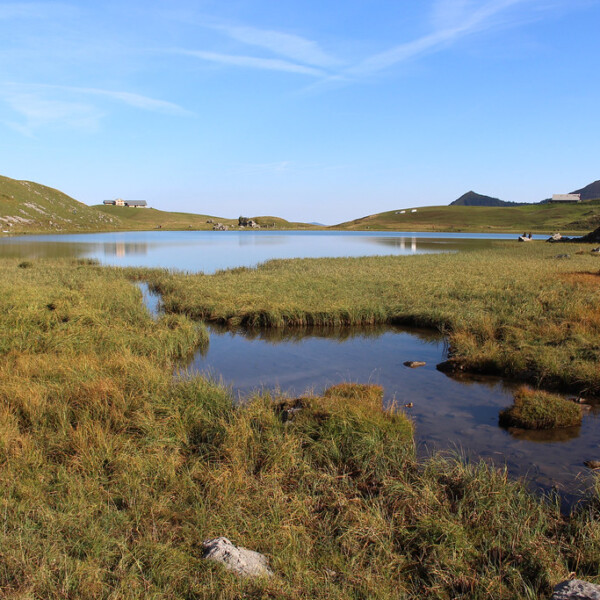 Sachsler Seefeldsee: Idyllischer Bergsee mit grünen Wiesen und blauem Himmel.