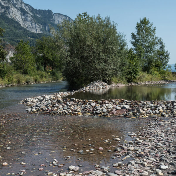Schils Flusslandschaft mit Steinen und Bäumen vor Bergkulisse.