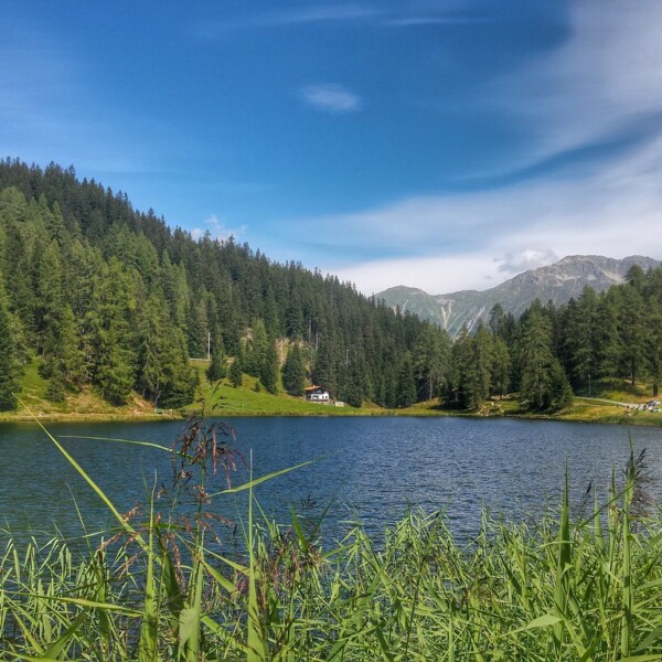 Idyllischer Schwarzsee in Davos Laret, umgeben von Wald und Bergen
