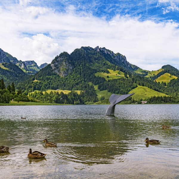 Schwarzsee mit Walflossen-Skulptur und Enten vor Bergkulisse.