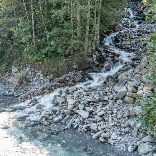 Fluss Sernf stürzt über Felsen, umgeben von Bäumen.
