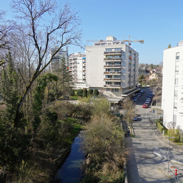 Seymaz Fluss neben Wohngebäuden in Genf, Schweiz.