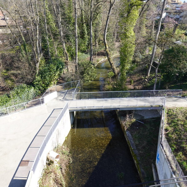Fluss Seymaz unter einer Brücke in einer grünen Landschaft
