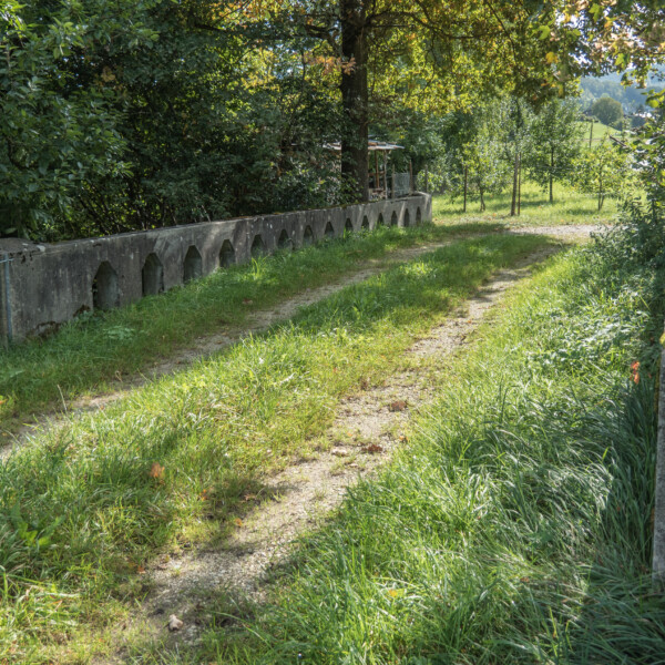 Grüner Weg mit Gras und Betonbrücke in Sissle.