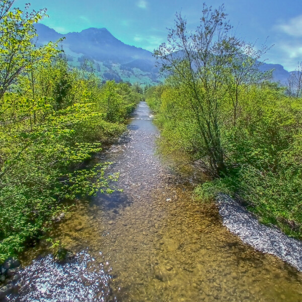 Steiner Aa Flusslauf mit grüner Vegetation und Bergen im Hintergrund.