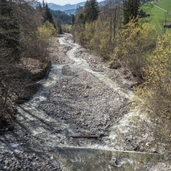 Steiner Aa: Flusslauf mit Kiesbett und Ufervegetation im Frühling.