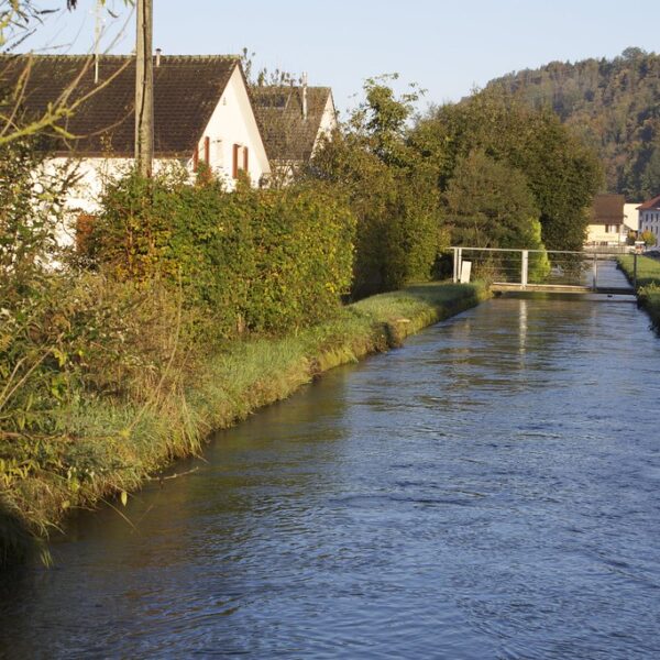Kanal in Töss mit Häusern und Bäumen am Ufer.