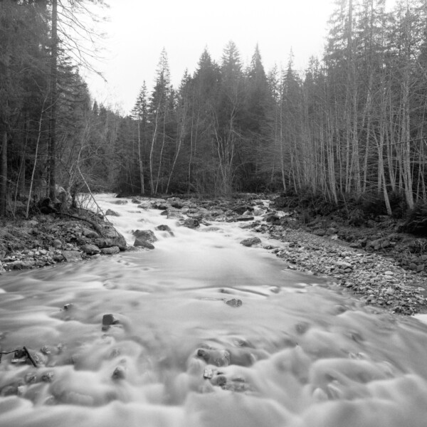Fließender Fluss Trême durch einen Wald, Schwarzweißfotografie.
