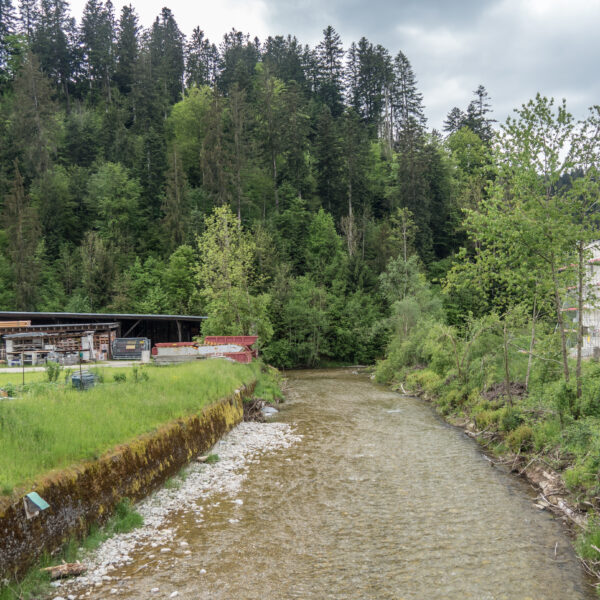 Fluss Trueb mit Uferbefestigung und bewaldetem Hügel im Hintergrund.