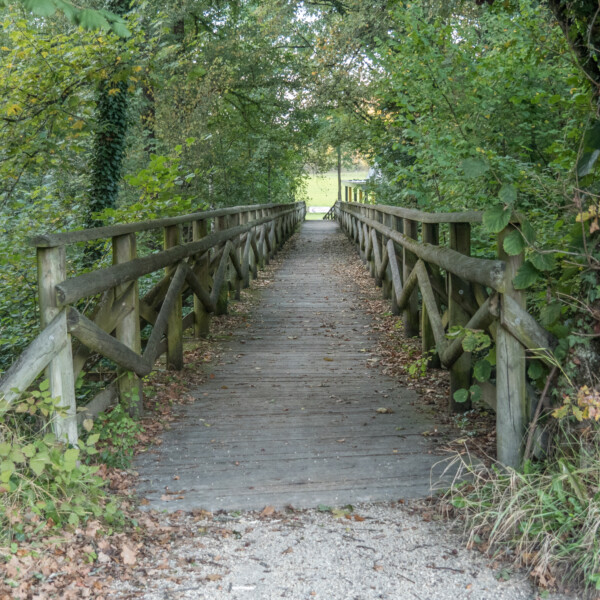Holzbrücke über die Venoge, umgeben von üppigem Grün