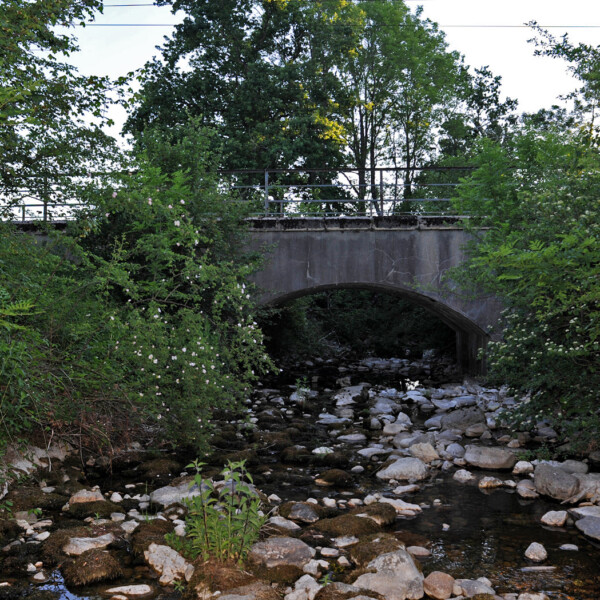 Steiniger Bach fließt unter einer Brücke, umgeben von üppigem Grün.