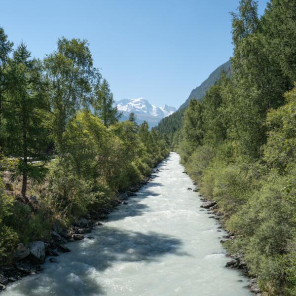 Vispa Fluss mit Bäumen und Bergen im Hintergrund. Matter Vispa.