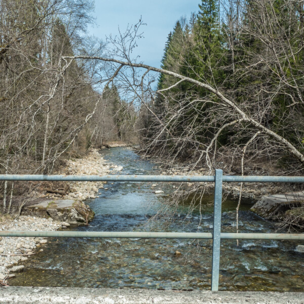 Waldemme Flusslandschaft mit Bäumen im Frühling, gesehen von einer Brücke.