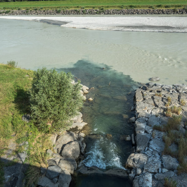 Werdenberger Binnenkanal: Trübes Wasser trifft auf klaren Kanal. Uferbefestigung mit Steinen.