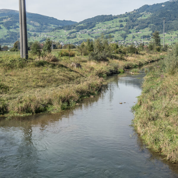 Werdenberger Binnenkanal: Ruhiger Flusslauf durch grüne Landschaft mit Bergen im Hintergrund.