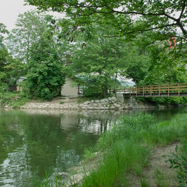 Grüne Flusslandschaft mit bewaldeter Insel und Holzbrücke. Ruhige Wasserreflexionen.