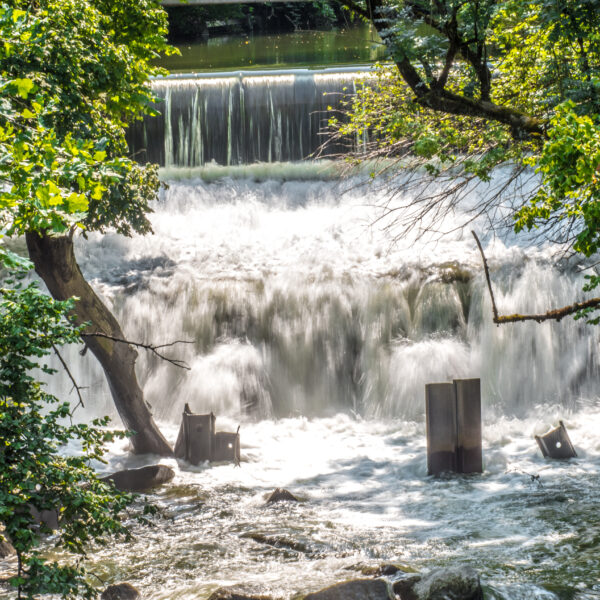 Wasserfall stürzt über ein Wehr, umgeben von Bäumen und Vegetation.