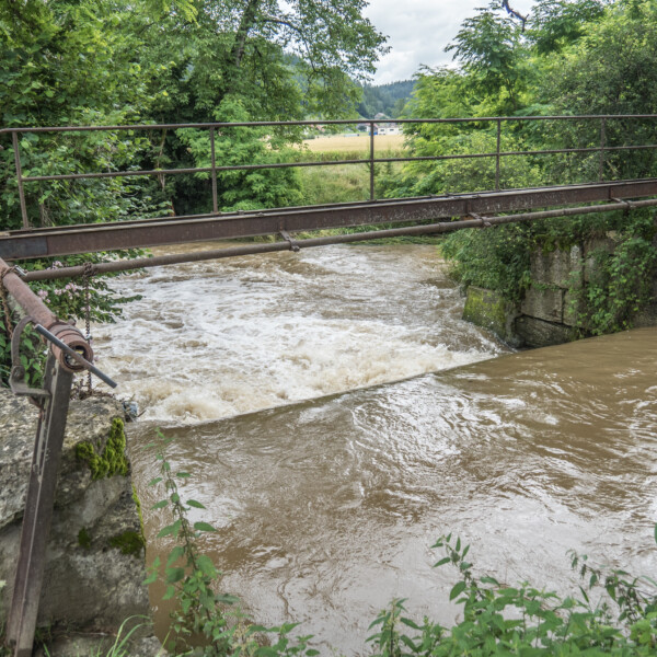 Brücke über den Fluss Wyna mit starker Strömung und üppiger Vegetation.