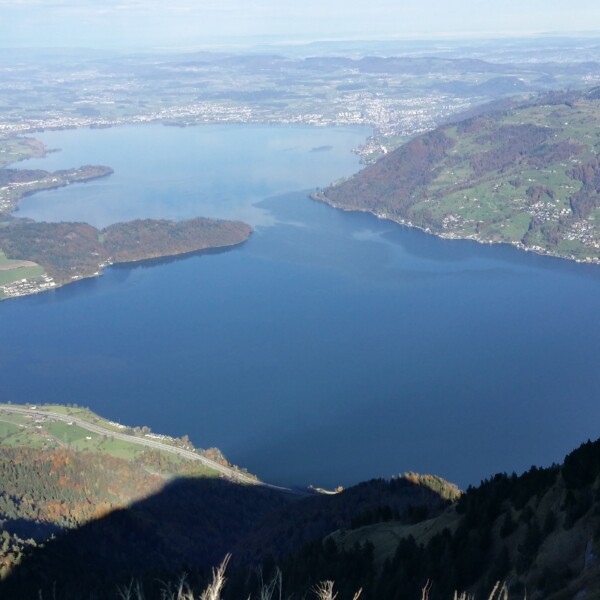 Blick auf den Zugersee von einem Berg