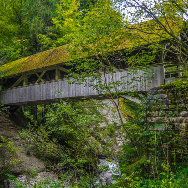 Überdachte Holzbrücke über die Zulg, umgeben von üppigem Grün. Moosbedecktes Dach.