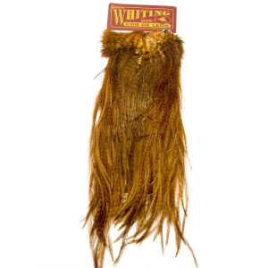 Coq de Leon Sattel (Qualität silver), gefärbt, braun