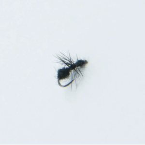 Black Ant 16: Fliegenfischen Fliege, schwarzes Ameisenmuster.
