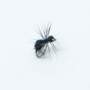 Schwarze Ameise 18: Schwarze Angel-Fliege zum Fliegenfischen