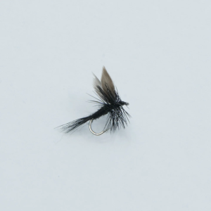 Black Gnat 14: Schwarze Fliegenfischer-Fliege mit silbernem Haken