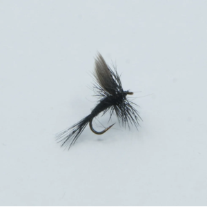 Black Gnat 16: Schwarze Fliegenfischerfliege für Forellen und Äschen.