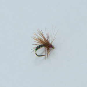 Nassfliege schwarz mit grüner Rippung, Größe 18. Angelköder für Forellen und andere Fische.