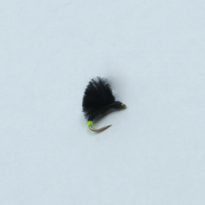 Nassfliege schwarz mit gelbem Punkt 18: Schwarze Angel-Nassfliege mit gelbem Akzent.