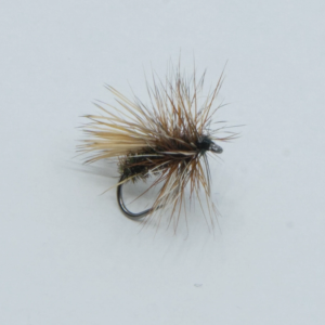 Peacock Caddis 12: Trockenfliege zum Fliegenfischen
