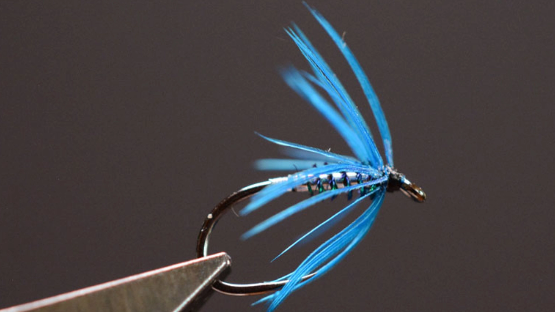 Blaue Fliegenfischen-Trockenfliege, Nahaufnahme. Ideal für Einsteiger ins Fliegenfischen.