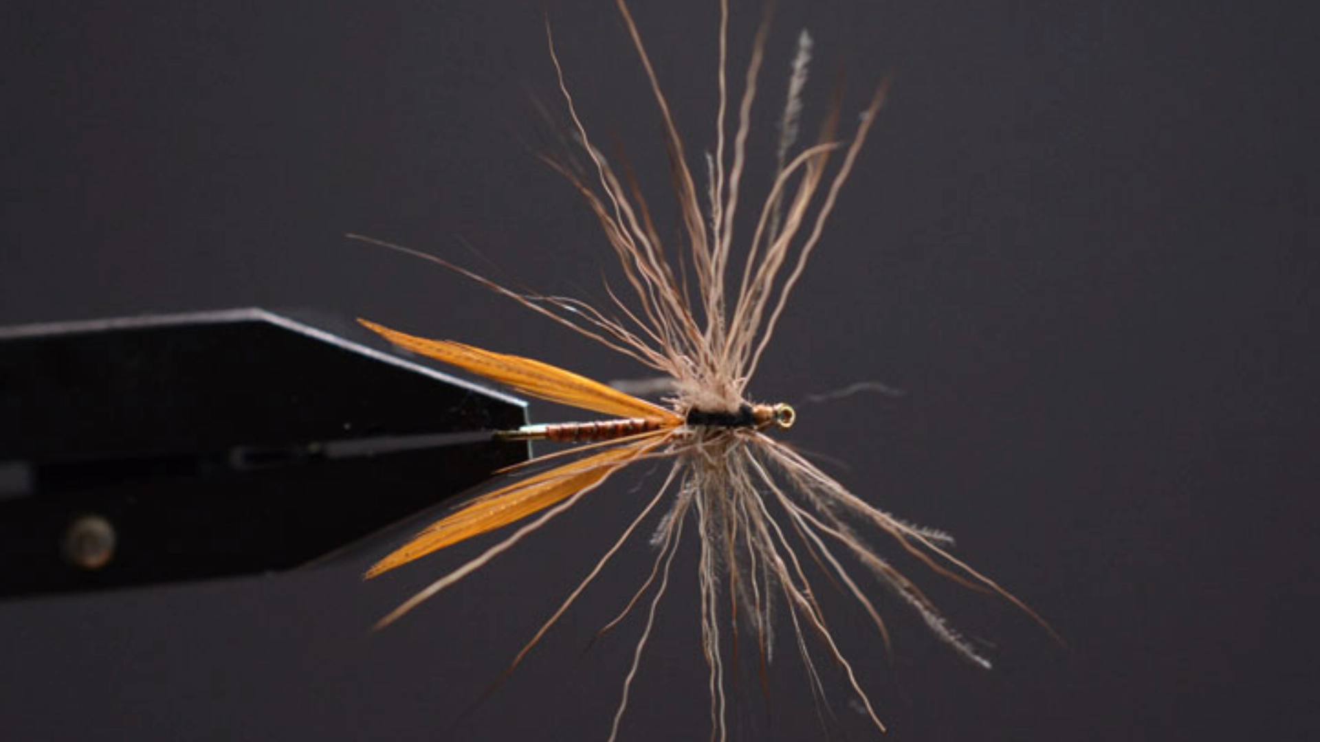 Nahaufnahme einer Trockenfliege zum Fliegenfischen, befestigt in einem Schraubstock.