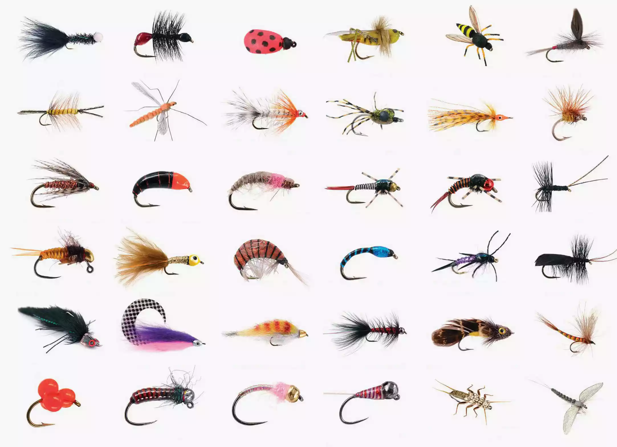 Verschiedene Fliegenfischen Köder, Nymphen und Trockenfliegen für Einsteiger.