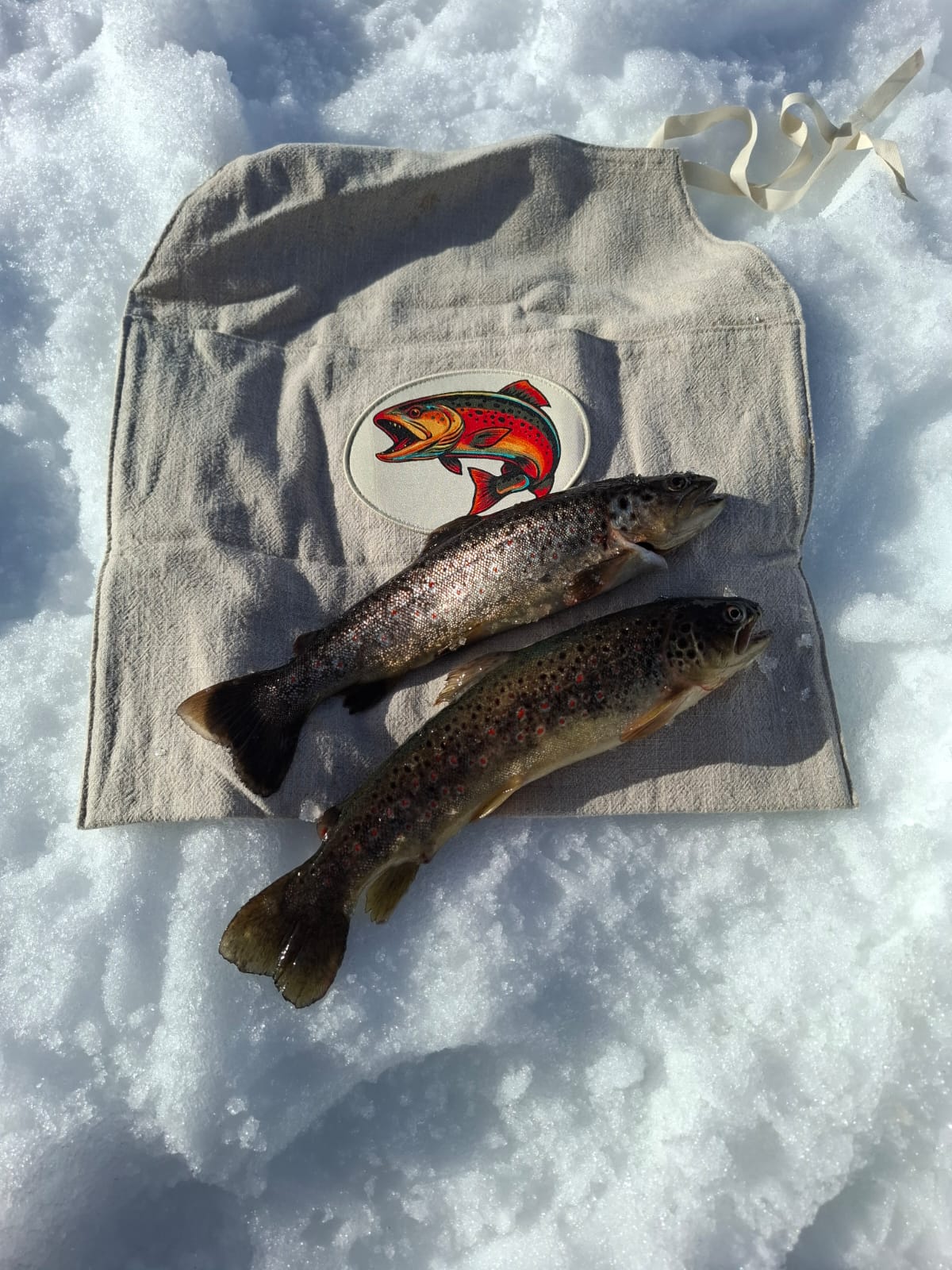 Zwei Forellen auf einem Fischsack im Schnee. Sicherer Fischtransport.
