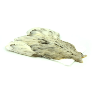 4 B's Hen Cape, einzigartige Variante mit gesprenkeltem Muster.
