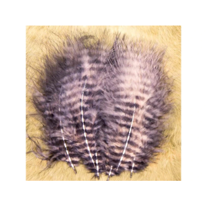 Drei beige-schwarze Grizzly-Marabou-Federn mit weißen Streifen, ideal für Fliegenbinden.