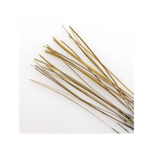 Bündel handgestrippte, naturfarbene Quills, ideal für Fliegenbinden und Bastelarbeiten.