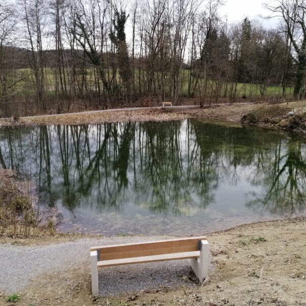 Holzbank am Bärenweiher mit Spiegelung von Bäumen im Wasser