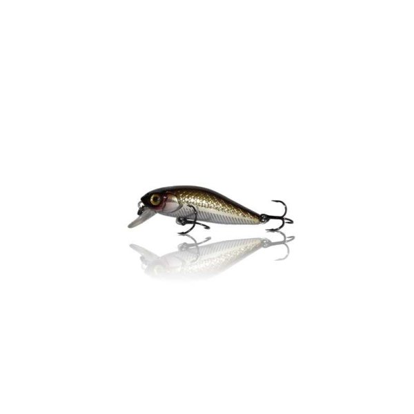 Gecko Minnow 40 brown