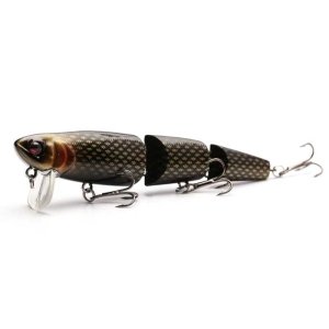 Gecko  Flat Triple, Golden Scale, 10cm