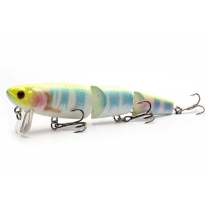 Gecko  Flat Triple, Lemon Back, 10cm